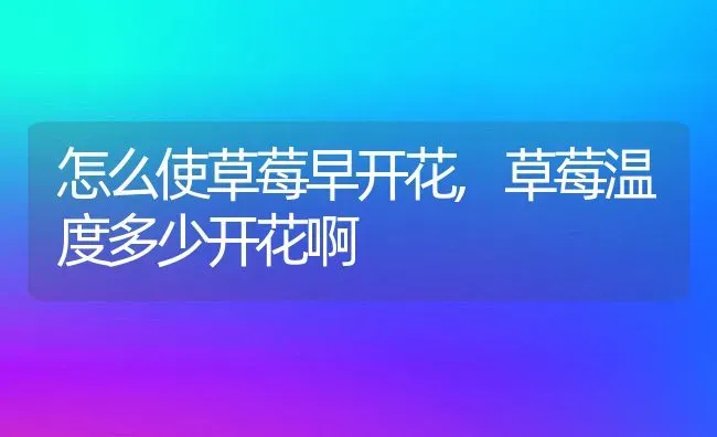 怎么使草莓早开花,草莓温度多少开花啊 | 养殖学堂