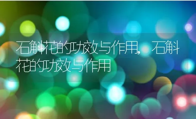 凯里市属于哪个市,贵州省凯里市属于哪个市 | 养殖科普