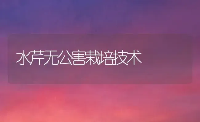 水芹无公害栽培技术 | 养殖知识
