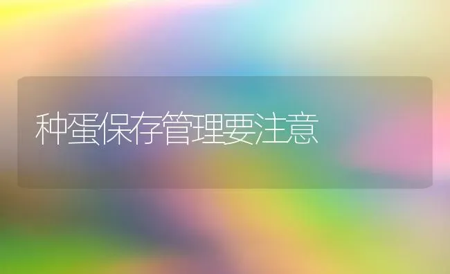 种蛋保存管理要注意 | 养殖知识