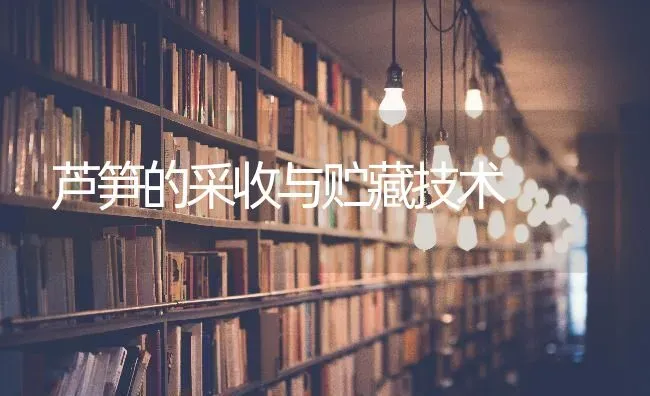 芦笋的采收与贮藏技术 | 养殖技术大全