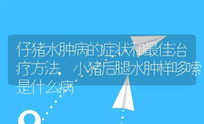 仔猪水肿病的症状和最佳治疗方法,小猪后腿水肿样哆嗦是什么病 | 养殖学堂