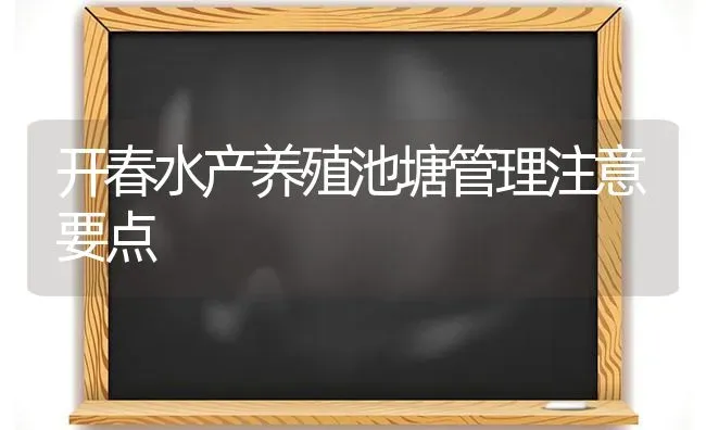 开春水产养殖池塘管理注意要点 | 养殖技术大全
