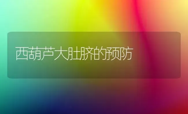 西葫芦大肚脐的预防 | 养殖技术大全