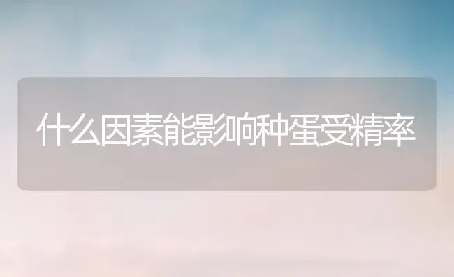 什么因素能影响种蛋受精率 | 养殖知识