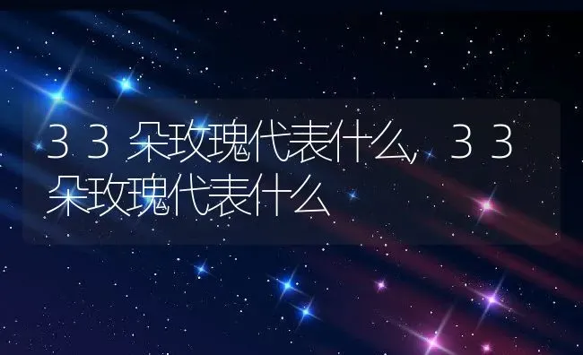 33朵玫瑰代表什么,33朵玫瑰代表什么 | 养殖科普