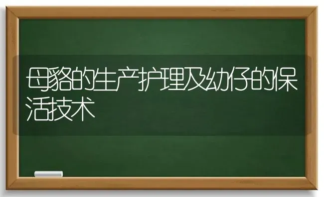 母貉的生产护理及幼仔的保活技术 | 养殖知识