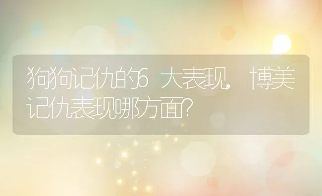 狗狗记仇的6大表现,博美记仇表现哪方面？ | 养殖学堂