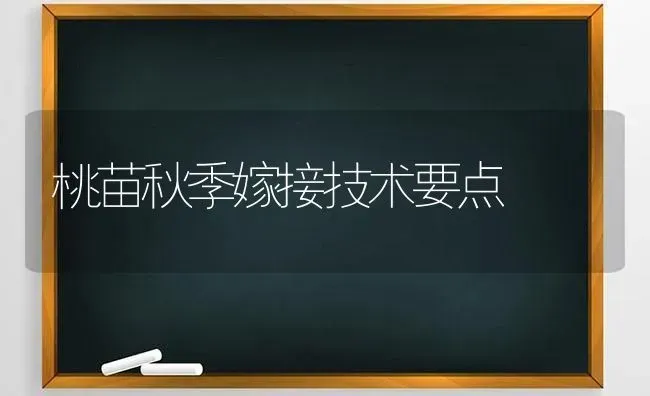 桃苗秋季嫁接技术要点 | 养殖知识