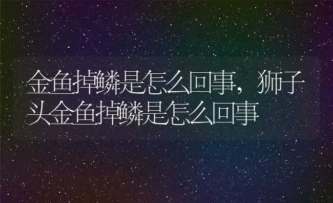 金鱼掉鳞是怎么回事,狮子头金鱼掉鳞是怎么回事 | 养殖学堂