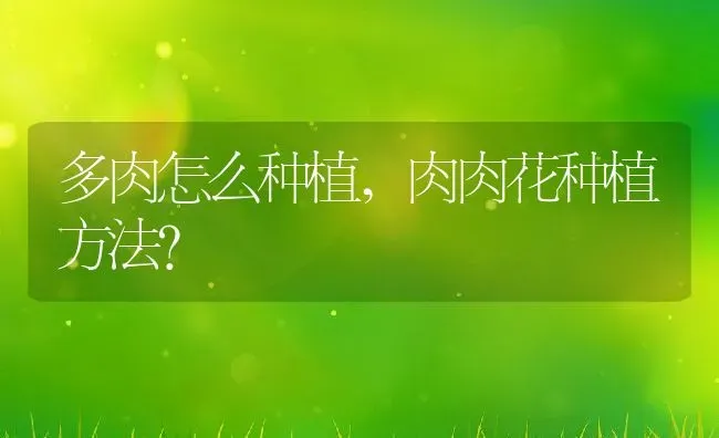 多肉怎么种植,肉肉花种植方法？ | 养殖科普