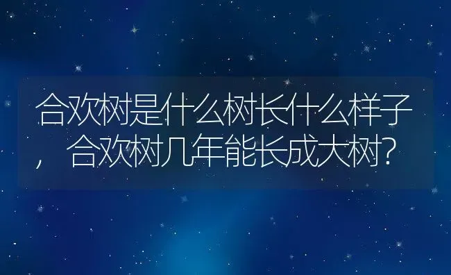 合欢树是什么树长什么样子,合欢树几年能长成大树？ | 养殖科普