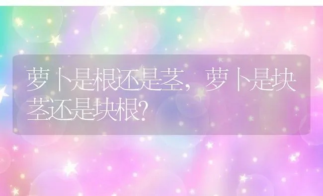 萝卜是根还是茎,萝卜是块茎还是块根？ | 养殖科普