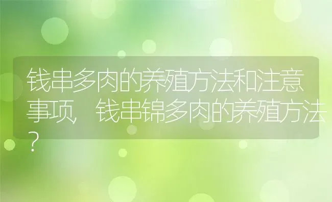 钱串多肉的养殖方法和注意事项,钱串锦多肉的养殖方法？ | 养殖科普