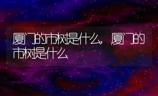 厦门的市树是什么,厦门的市树是什么 | 养殖科普