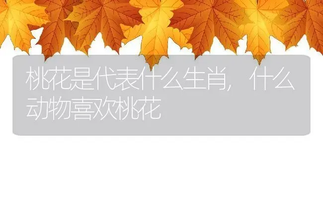 桃花是代表什么生肖,什么动物喜欢桃花 | 养殖学堂