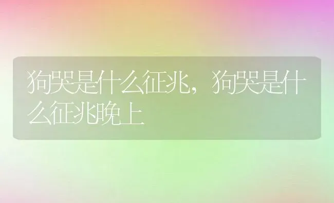 狗哭是什么征兆,狗哭是什么征兆晚上 | 养殖资料