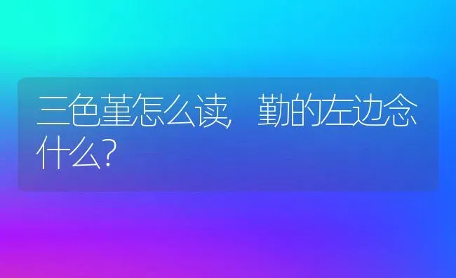 三色堇怎么读,勤的左边念什么？ | 养殖学堂