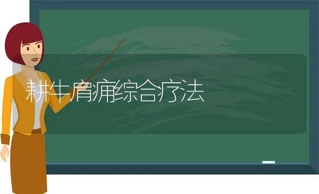 耕牛肩痈综合疗法 | 养殖知识