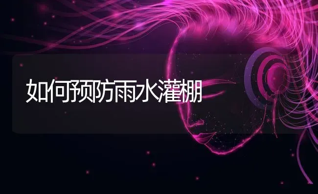 如何预防雨水灌棚 | 养殖技术大全