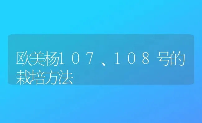 欧美杨107、108号的栽培方法 | 养殖技术大全