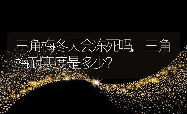 三角梅冬天会冻死吗,三角梅耐寒度是多少？ | 养殖科普