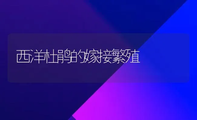 西洋杜鹃的嫁接繁殖 | 养殖知识