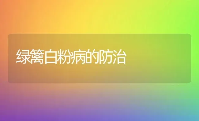 绿篱白粉病的防治 | 养殖技术大全