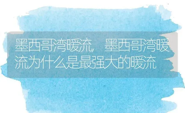 墨西哥湾暖流,墨西哥湾暖流为什么是最强大的暖流 | 养殖资料
