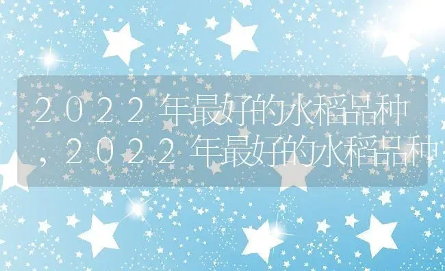 2022年最好的水稻品种,2022年最好的水稻品种 | 养殖科普