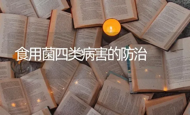 食用菌四类病害的防治 | 养殖知识