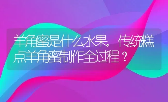 羊角蜜是什么水果,传统糕点羊角蜜制作全过程？ | 养殖科普