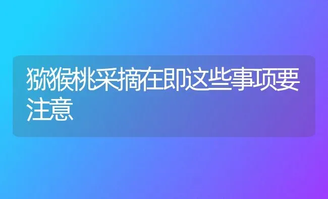 猕猴桃采摘在即这些事项要注意 | 养殖技术大全