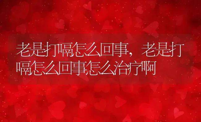 老是打嗝怎么回事,老是打嗝怎么回事怎么治疗啊 | 养殖资料