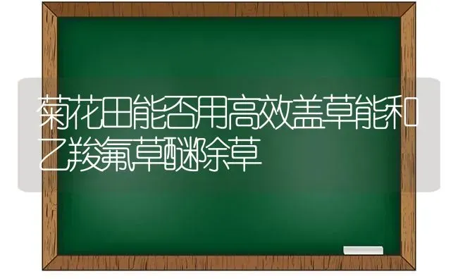 菊花田能否用高效盖草能和乙羧氟草醚除草 | 养殖知识