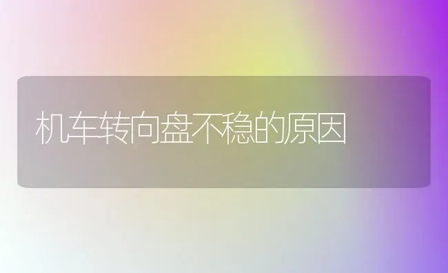 机车转向盘不稳的原因 | 养殖知识