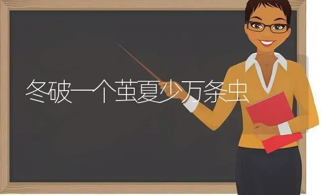 冬破一个茧夏少万条虫 | 养殖技术大全