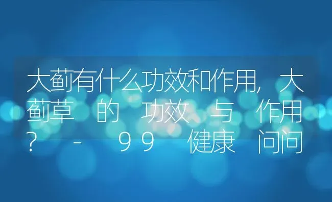 大蓟有什么功效和作用,大蓟草 的 功效 与 作用 ? - 99 健康 问问 | 养殖学堂