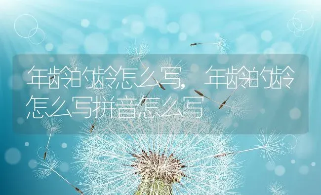 年龄的龄怎么写,年龄的龄怎么写拼音怎么写 | 养殖科普