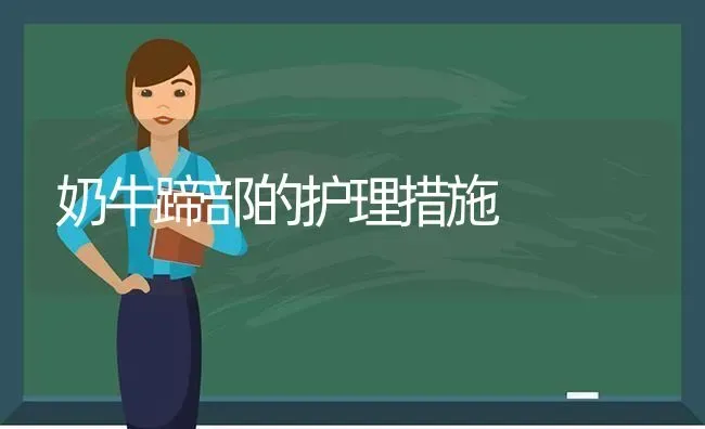 奶牛蹄部的护理措施 | 养殖技术大全