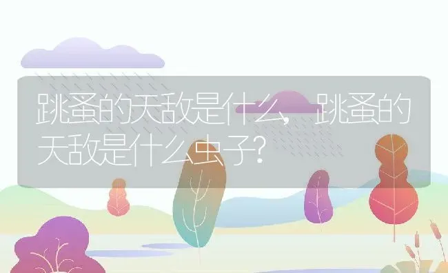 跳蚤的天敌是什么,跳蚤的天敌是什么虫子? | 养殖资料