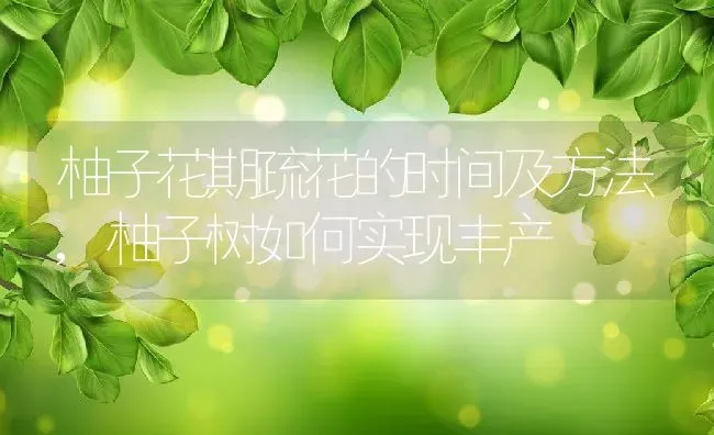 柚子花期疏花的时间及方法,柚子树如何实现丰产 | 养殖学堂