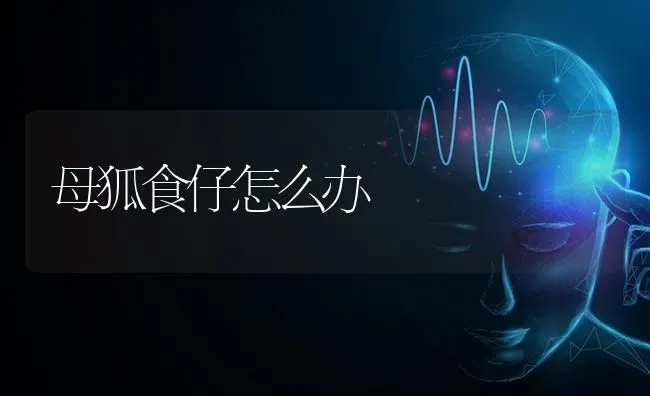 庭院土窖蒜苗立体生产技术 | 养殖技术大全