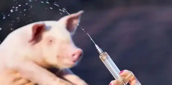 药物性饲料添加剂有哪些 | 生活常识