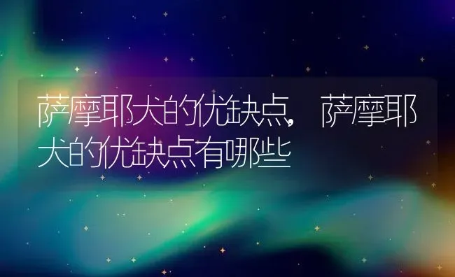 萨摩耶犬的优缺点,萨摩耶犬的优缺点有哪些 | 养殖科普
