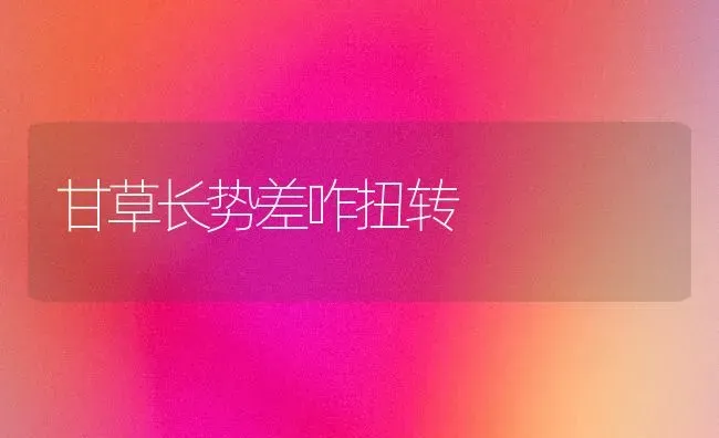 甘草长势差咋扭转 | 养殖技术大全