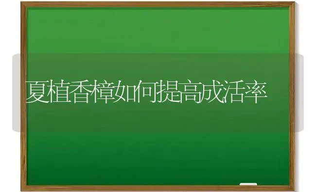 牛乳房水肿的预防与治疗 | 养殖技术大全