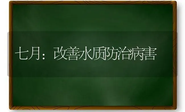 七月：改善水质防治病害 | 养殖技术大全