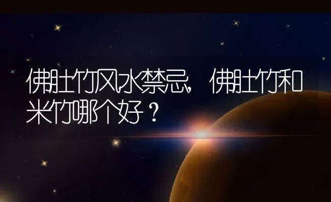佛肚竹风水禁忌,佛肚竹和米竹哪个好？ | 养殖科普