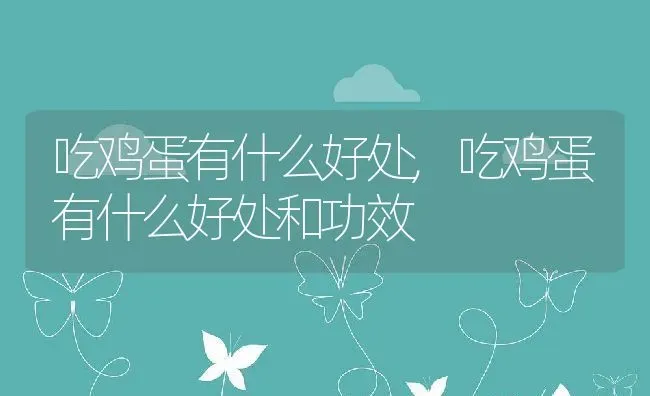 吃鸡蛋有什么好处,吃鸡蛋有什么好处和功效 | 养殖资料